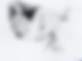 Nude (preview)