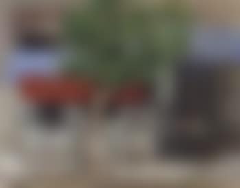 Cafe, Fes (preview)