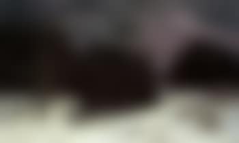 Hunting wolves (preview)