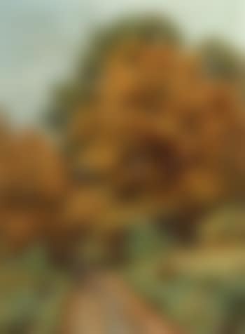 Autumn wood with hunter and gundogs (preview)
