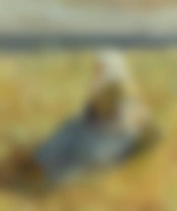 Skagen woman seated in the dunes (preview)