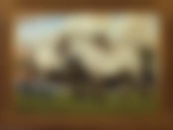 Belgian mares - two horses at Logismose (preview)