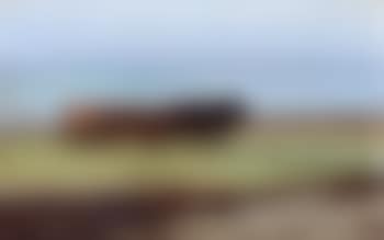 Coastal landscape with horses and cart on beach, North Sjaelland (preview)