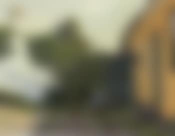 Small girl and chickens in yard (preview)