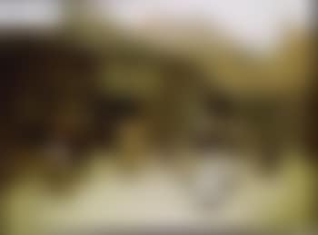 Morning in the village (preview)