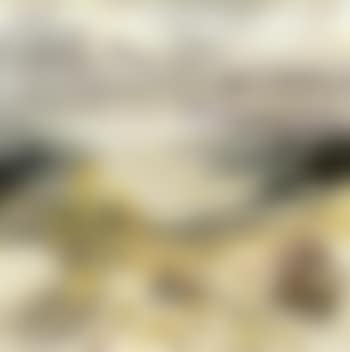 Shells (preview)