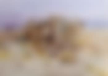 Indian scouting party (preview)