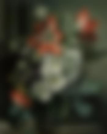 Amaryllis (preview)