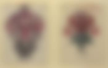 Flowers (preview)
