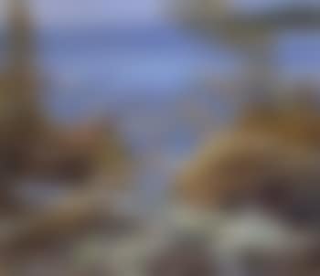 North shore, Lake Superior (preview)