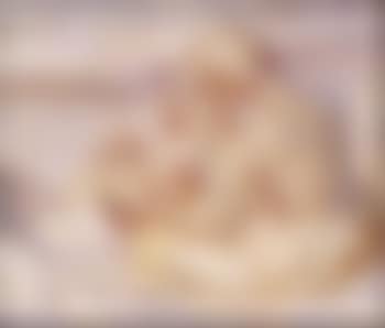 Noon (preview)