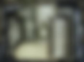 Green still life (preview)