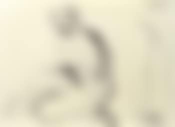 Seated nude (preview)