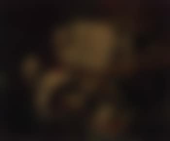 Kittens on the keys (preview)