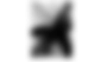 Phenomena Anima Regards (preview)