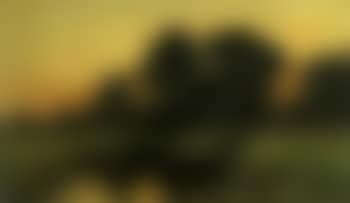 Punt in evening Havel landscape (preview)