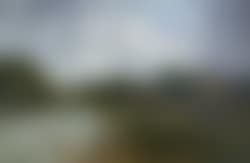 Cattle grazing in a river landscape (preview)
