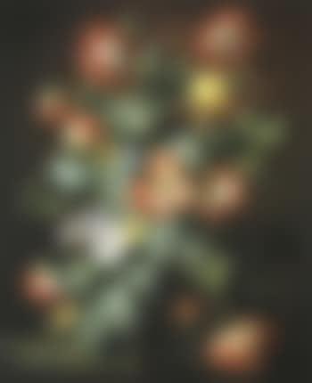 Poppies (preview)