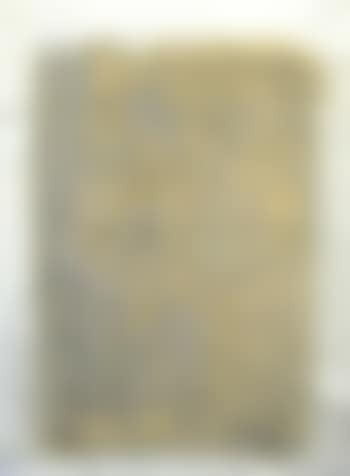 Ivory still life (preview)