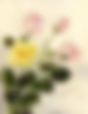 Still life of roses in yellow and pale pink (preview)