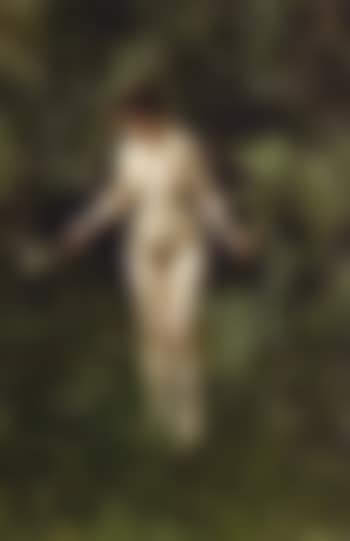 Nude in the woods (preview)