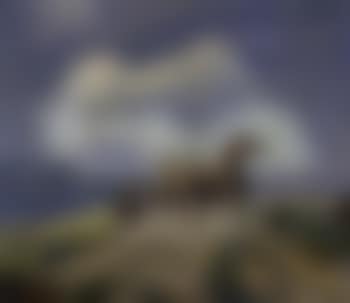 Wild horses, Nevada (preview)