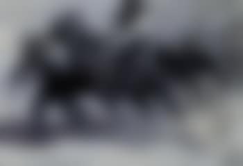 Pony express (preview)