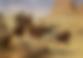 Attack on the stagecoach (preview)