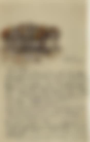 Illustrated letter to Bart Noble (preview)