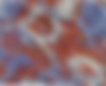 Composition (preview)