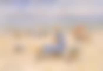 Scene de plage (preview)