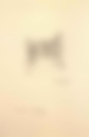 Tete de chat (preview)