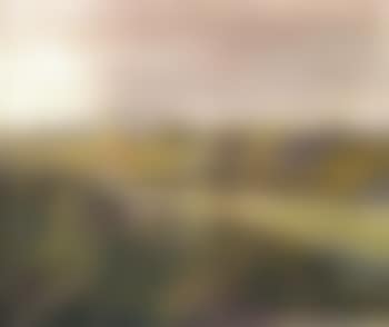 Parisian view (preview)