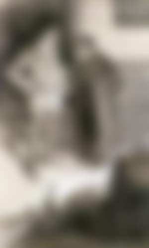 The treasure (preview)