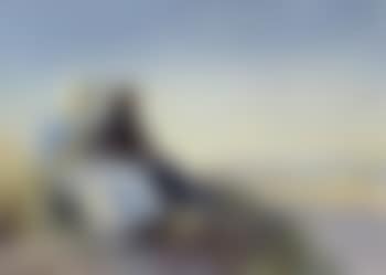 Two fisherwomen in the dunes at Skagen Sonderstrand (preview)