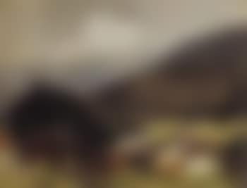 View of the mountain village Partinsch (preview)