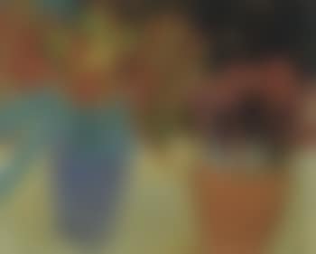 Crocus and tulips (preview)