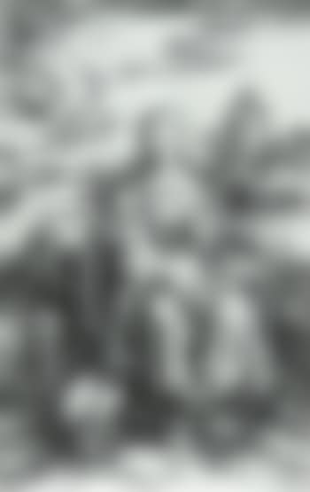 Virgin and Child with the monkey (preview)