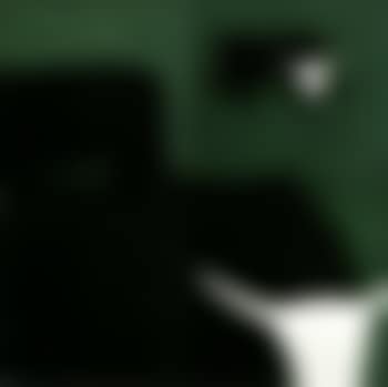 Steers (preview)