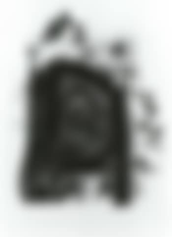 Compostella pilgrim (preview)