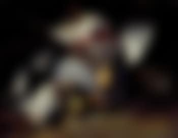 Still life of a partridge, hawk, snipe and other birds (preview)