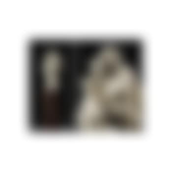 Arcadian lovers (preview)