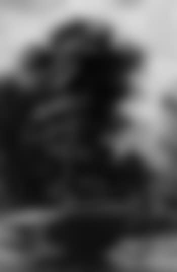 Figures resting on a river bank in summer landscape (preview)