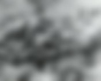 Landscape (preview)