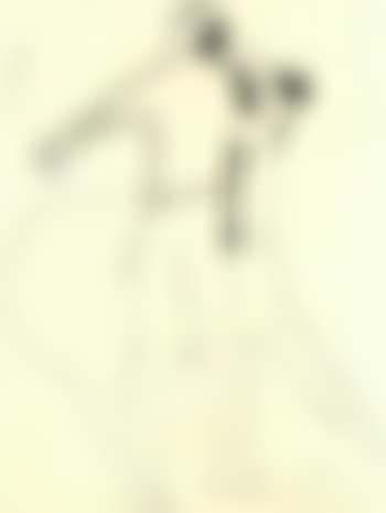 Rider and horse (preview)