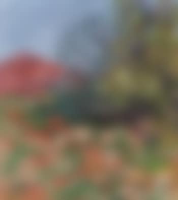 Glade in spring (preview)