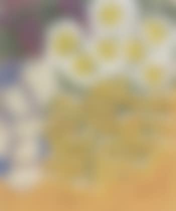Still life of flowers (preview)