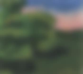 Willows (preview)