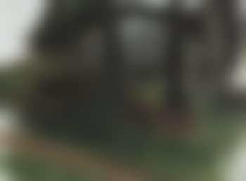 Landscape (preview)