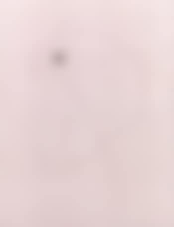 Concetto Spaziale (preview)